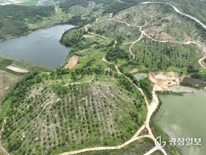 신안군 섬숲 전경