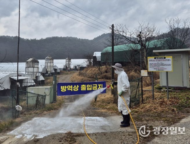 가금사육농가농장내외부소독