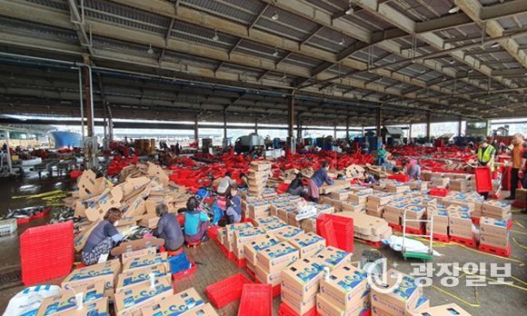 생산 및 거래 이전 단계 시료 수거