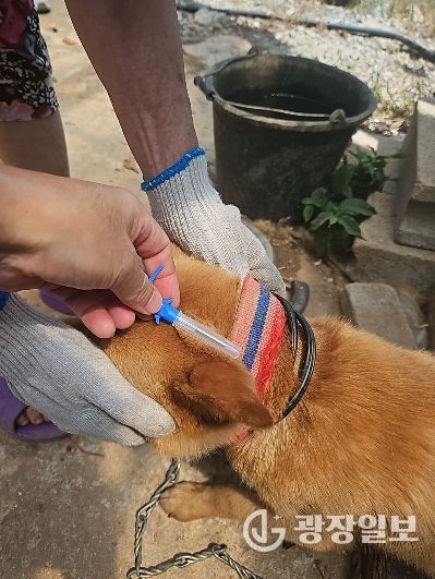 정읍시, 2026년 반려동물 등록비 지원… 취약계층 방문 접종도