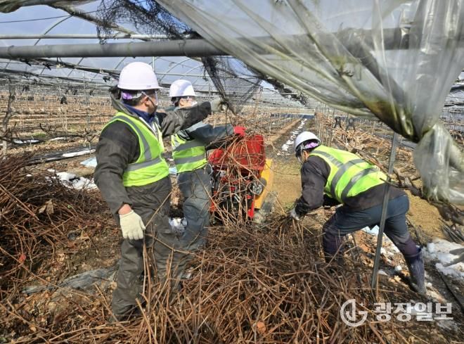 담양군, 영농부산물 파쇄 지원으로 자원순환 농법 실천
