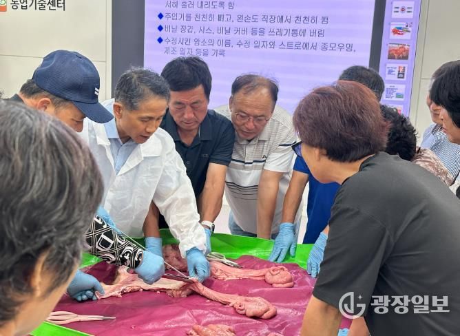 디지털-인공수정실습