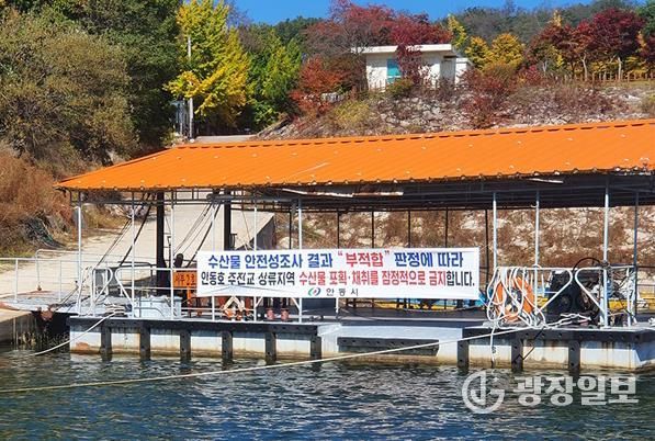 안동시, 안동호 내수면 어업 폐업보상 시행