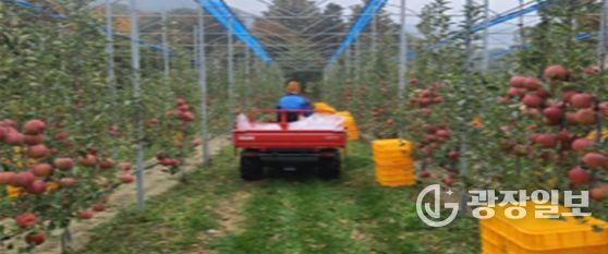 평면형 과원 전경