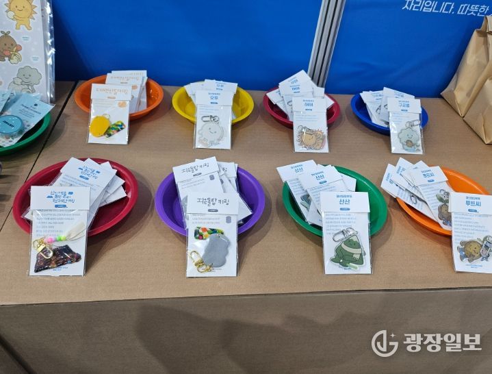 청년창창루트 태백산마켓 운영