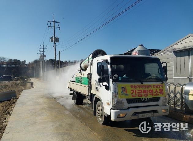 안성시, 고향을 지키는 설 명절 재난형 가축전염병 특별방역 추진