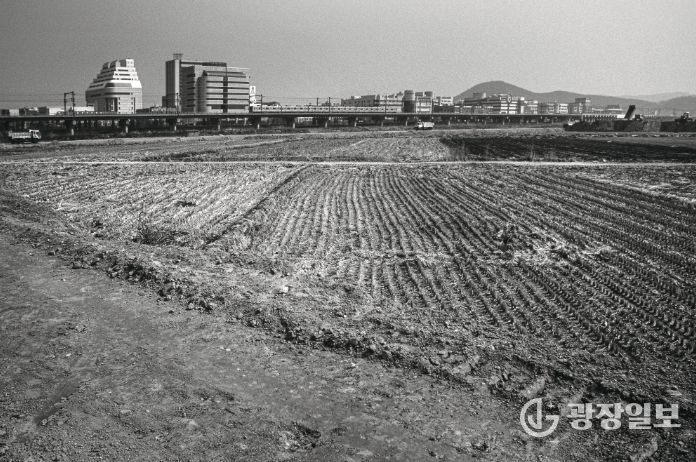 1995년도 고잔뜰 전경, 현재는 고잔신도시가 조성되어 아파트 단지로 변모했다.