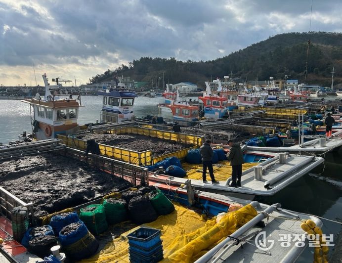 친환경 국제표준 인증(ASC-MSC 해조류/CoC) 취득