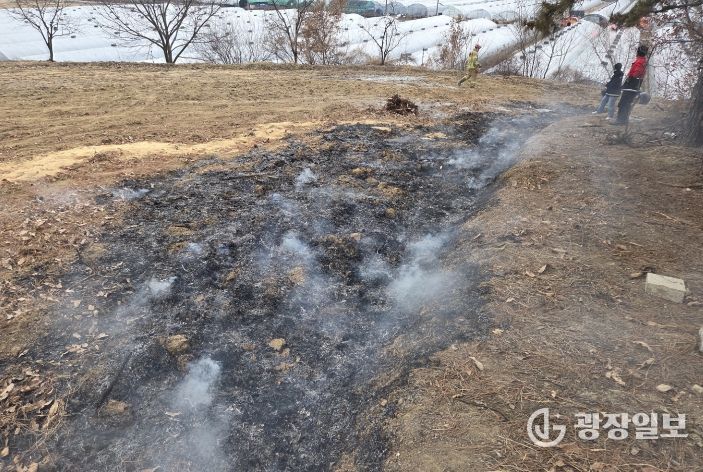 산림인접지 위반행위 엄정 대응