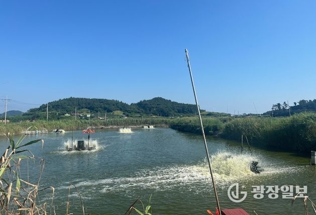 영광군, 수산양식생물 입식‧출하‧판매 신고 이행 당부