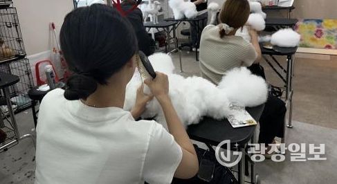 익산시, 학교 밖 청소년의 꿈 키운다