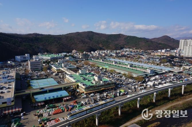 농수산물도매시장 전경