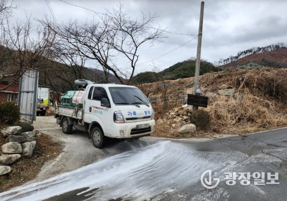 합천 발생지 방역