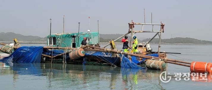 실뱀장어안강망어업 어구 점검