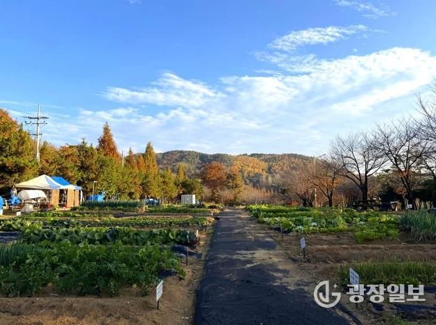 안성시, 2026년 도시농업공동체 공공텃밭 분양자 모집