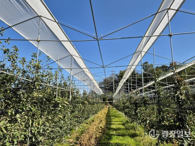 보은군, 스마트농업특화지구 육성사업 본격 추진