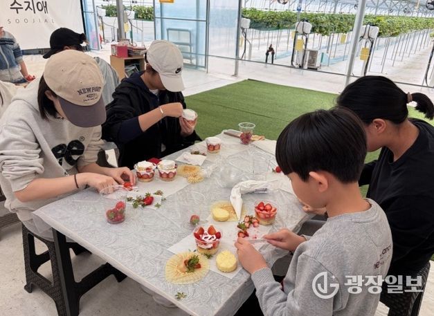 관내 청소년 30명 참여, 지역 농가 방문해 딸기 수확 및 요리체험