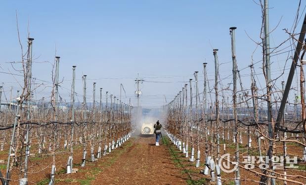 약제 방제하는 모습