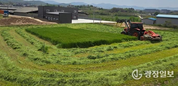 청주시, 첫 조사료전문단지 조성으로 자급사료 선도