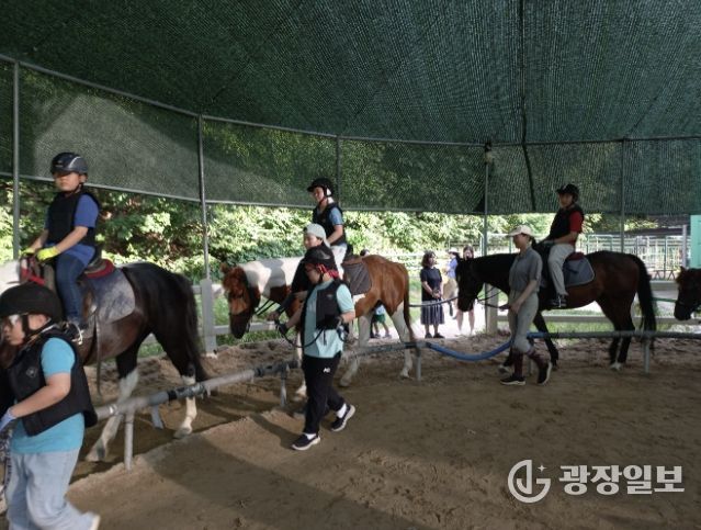 과천시 학생승마 지원사업 말타기 수업 모습