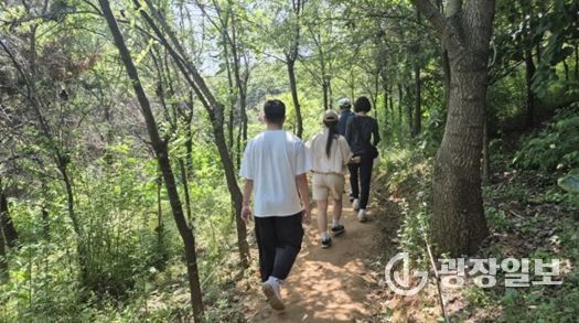 연희공원 치유의 숲 산림치유 프로그램