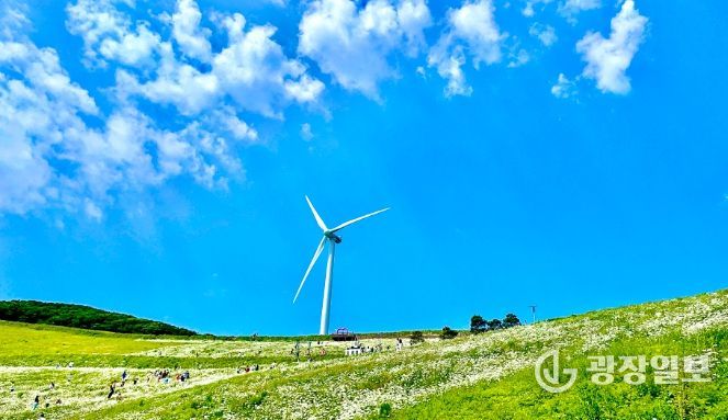 평창군, 청옥산 야생화 생태 단지 개장