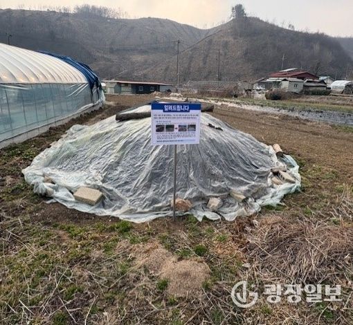 임실군 옥정호 녹조발생 예방 야적 퇴비 조사 추진