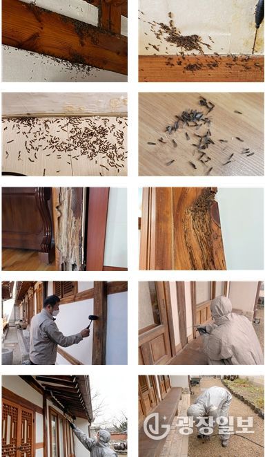 2026년 한옥 흰개미 방제사업