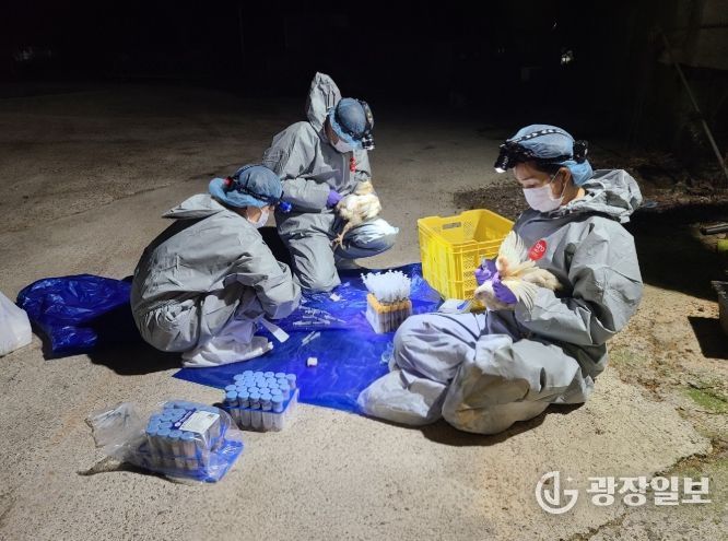 종계장 정밀검사